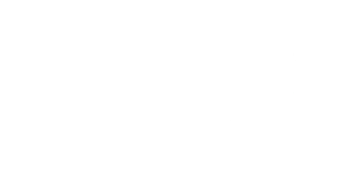 VOK Beverages logo