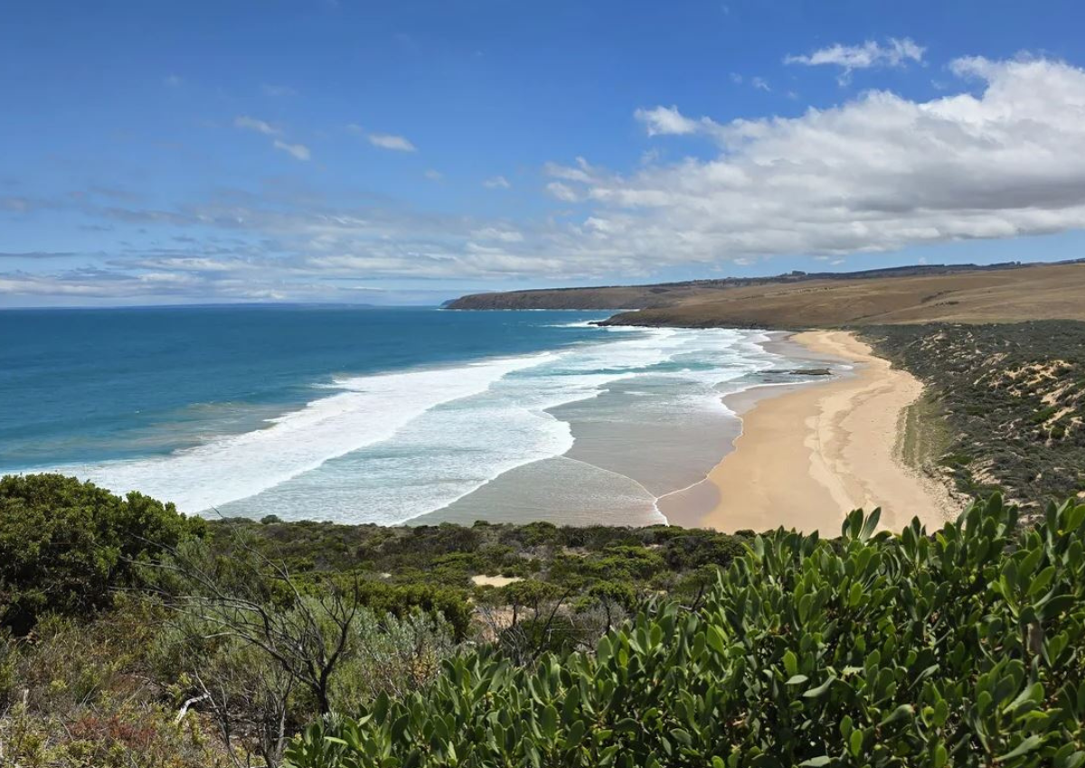 Algal bloom SA beach 1200x850