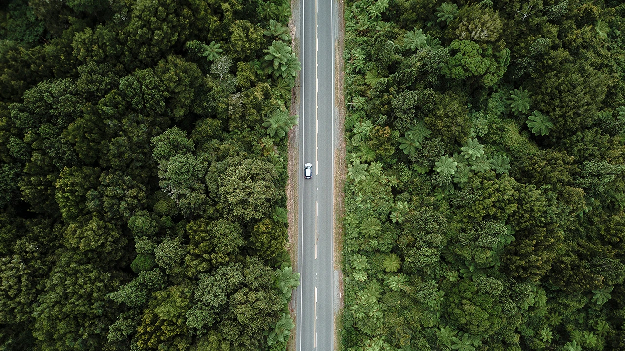Project Green Case Study