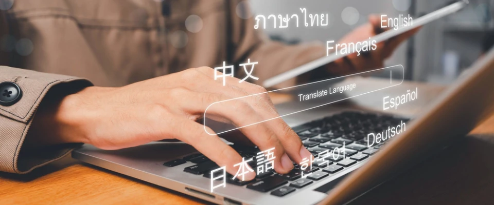 Website Header Translation
