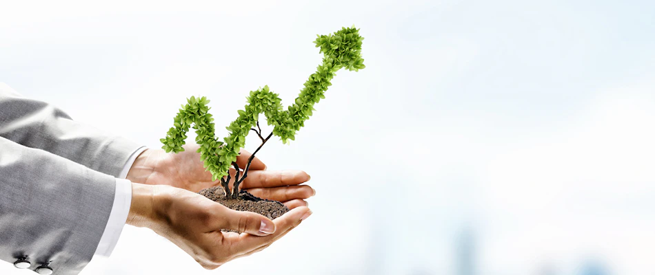Business growth XL