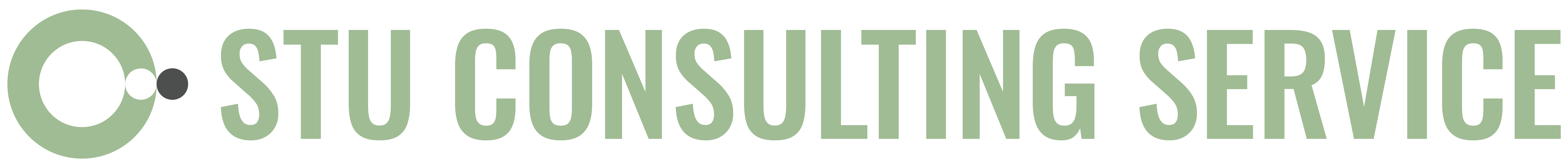 Stu's Consulting Service logo