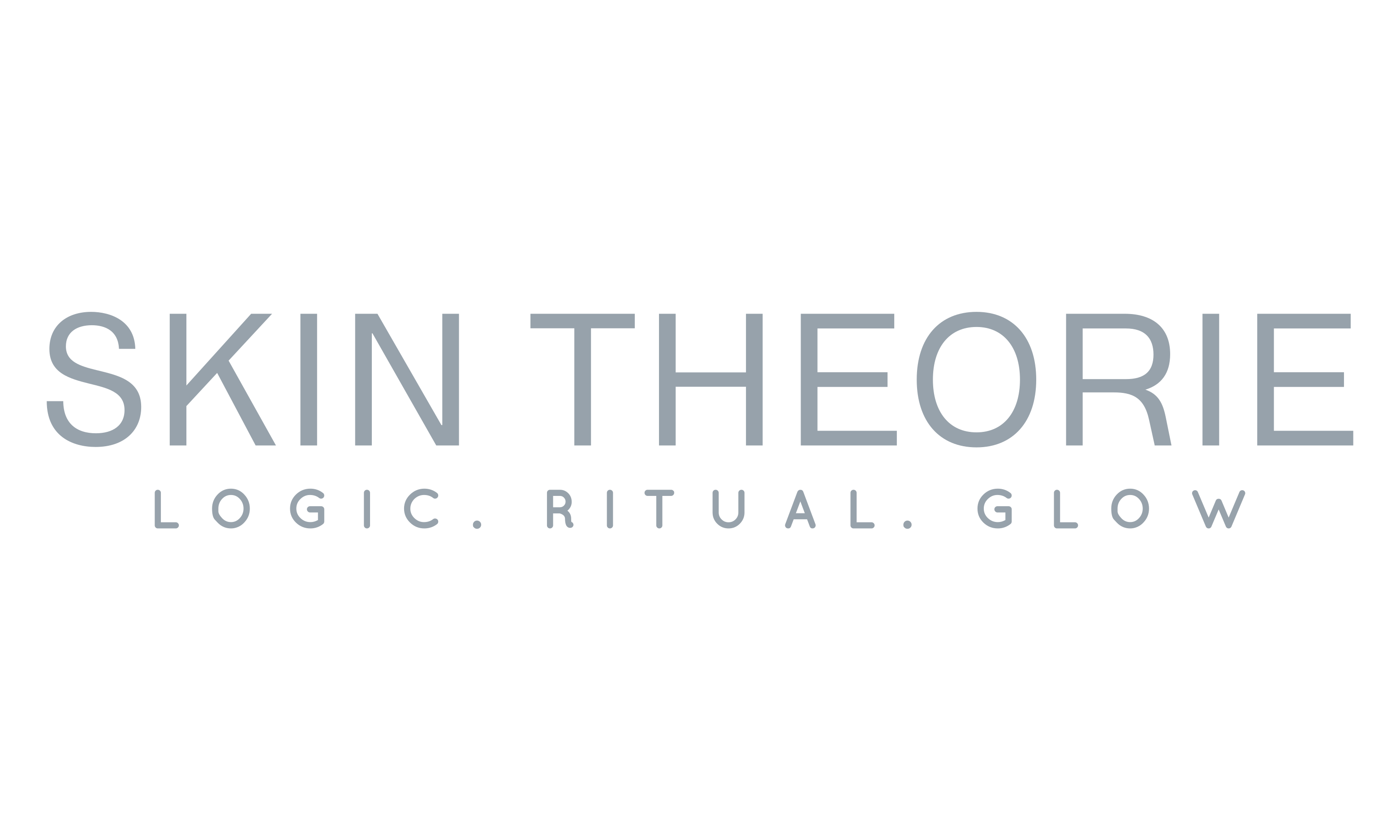 Skin Theorie Pty Ltd logo