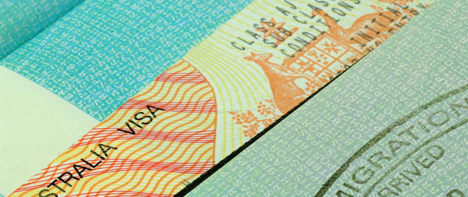 Visa2 XL